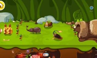 蚁后一窝能生多少 蚁后是谁生出来的