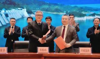 中植系事件对我国的影响 中植集团与中央关系