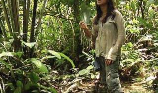 亚马逊原始部落 亚马逊原始部落