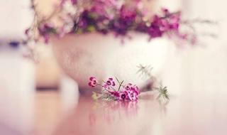 巨蟹座女生和什么座最配,巨蟹座女生最配星座 双鱼座女生最配星座