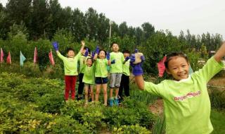 石家庄23中怎么样啊 石家庄第二实验中学