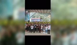 护卫者2电影免费观看 护卫者2电影免费观看