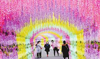 漫花庄园和音乐百花谷的区别 音乐百花谷