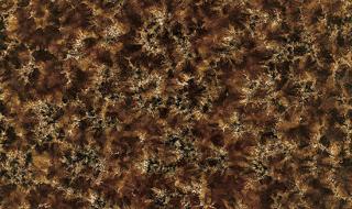 范思哲瓷砖品牌介绍 几何瓷砖属于几线品牌