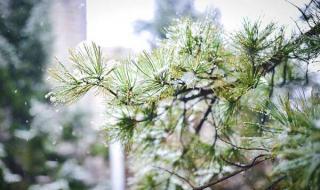 冻雨和霰的区别 霰和雪的区别是什么