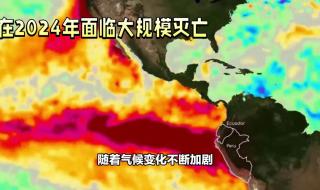 和平精英歼灭模式2024年什么时候开放 人类将在2024年灭亡